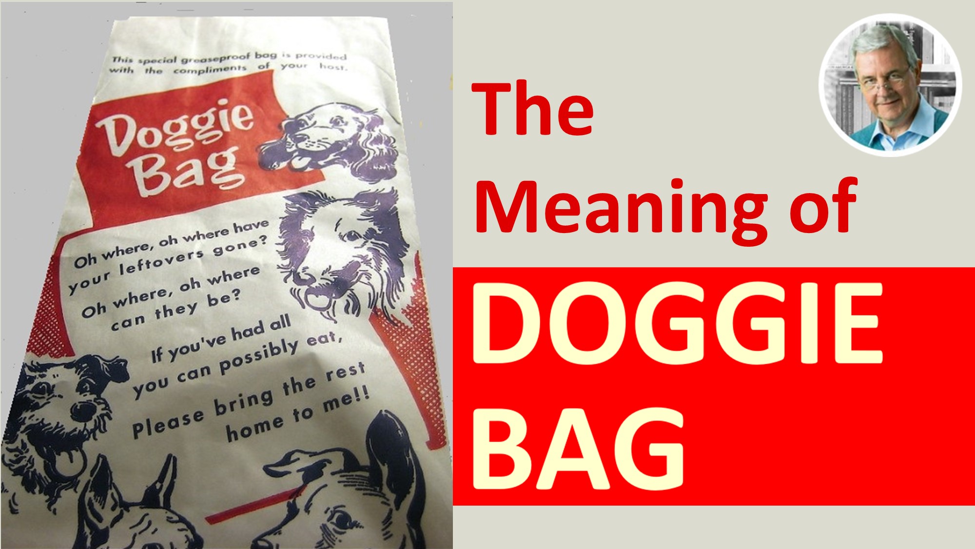 meaning of doggie bag (doggy bag)