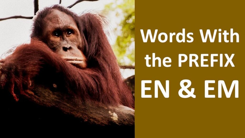 The Meaning of Prefix EN & EM