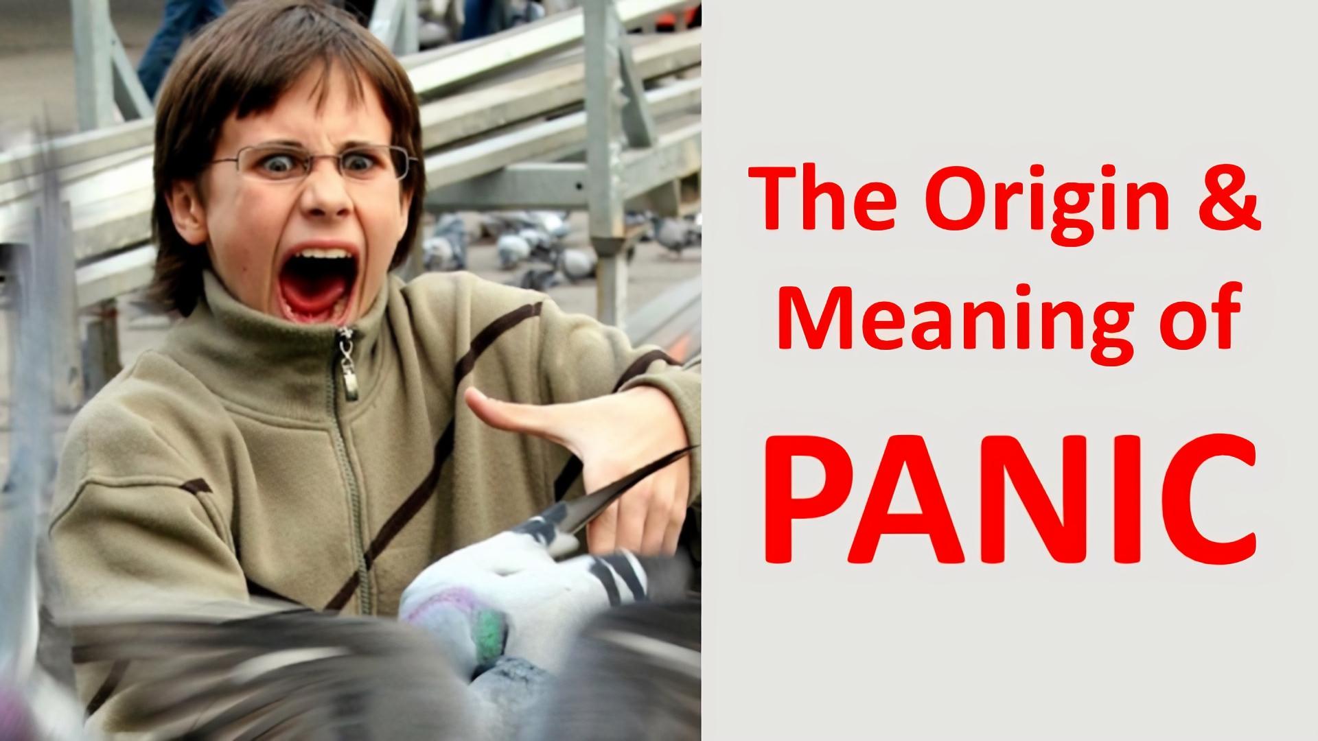 the meaning of panic