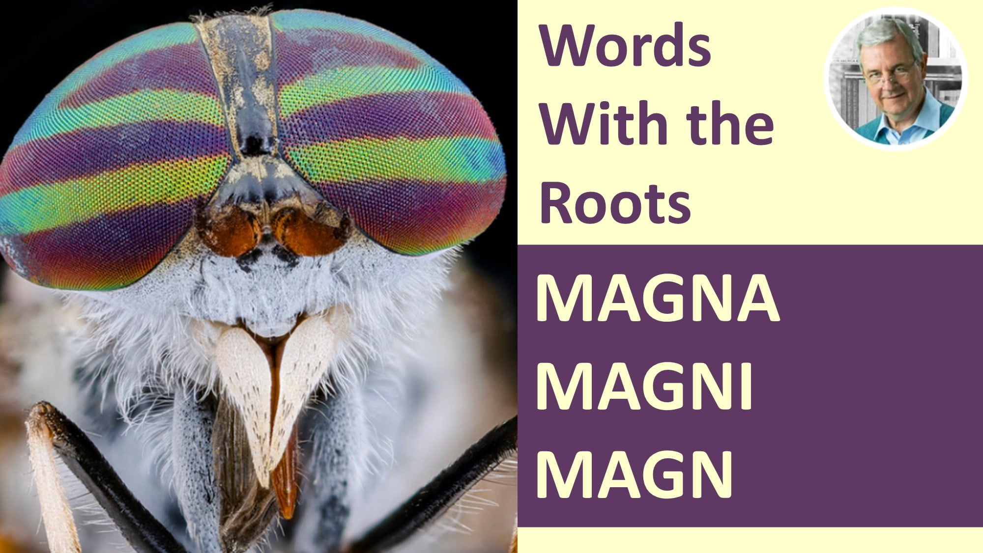 what does word root magn mean