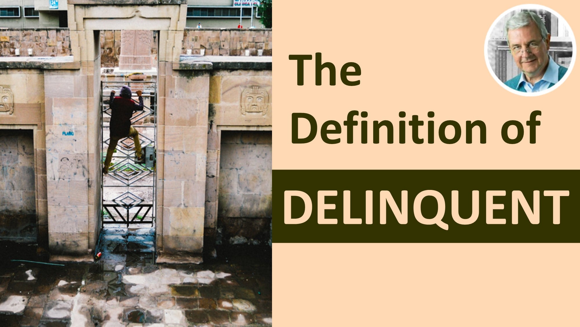 definition of delinquent - delinquent in a sentence