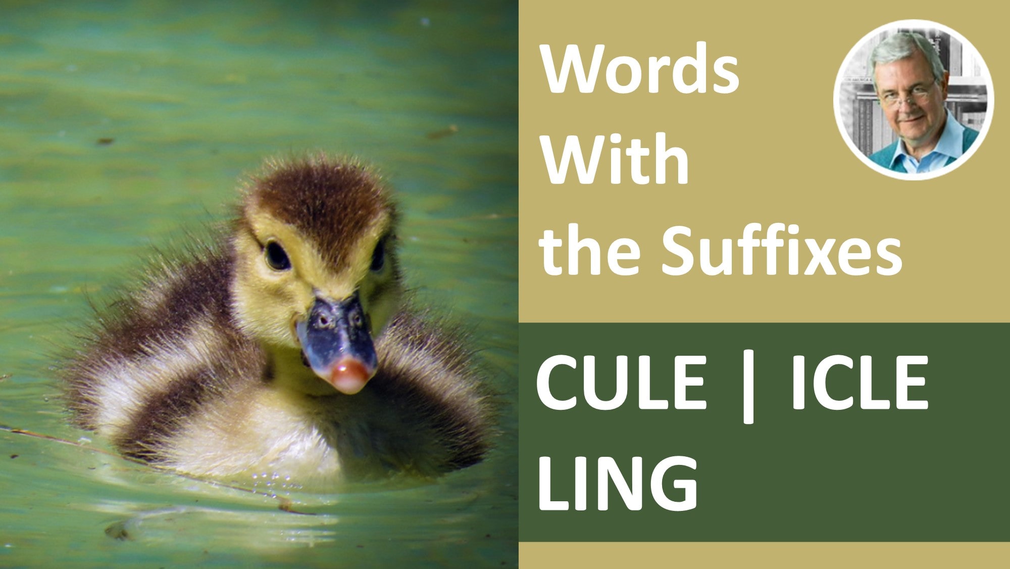 words with the suffix cule, ling, icle