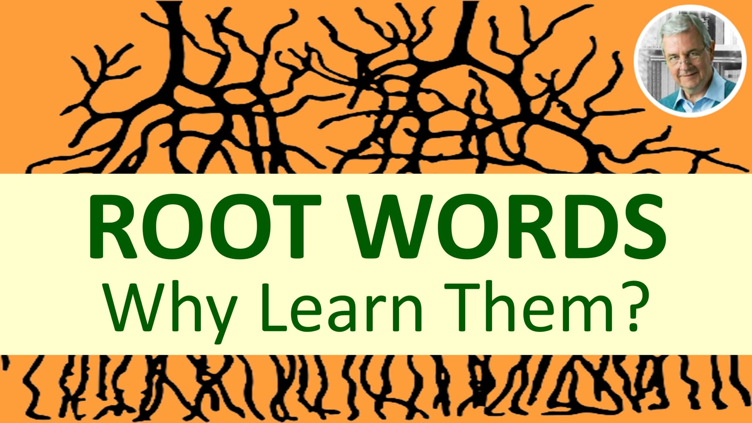 Why Learn ROOT WORDS? ROOT WORD Examples