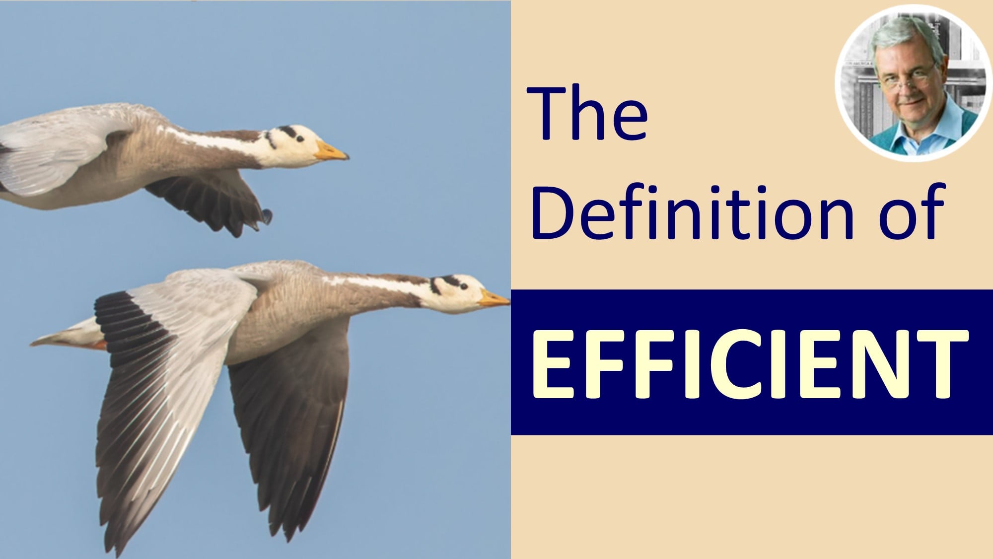 The Meaning Of EFFICIENT EFFICIENT In A Sentence