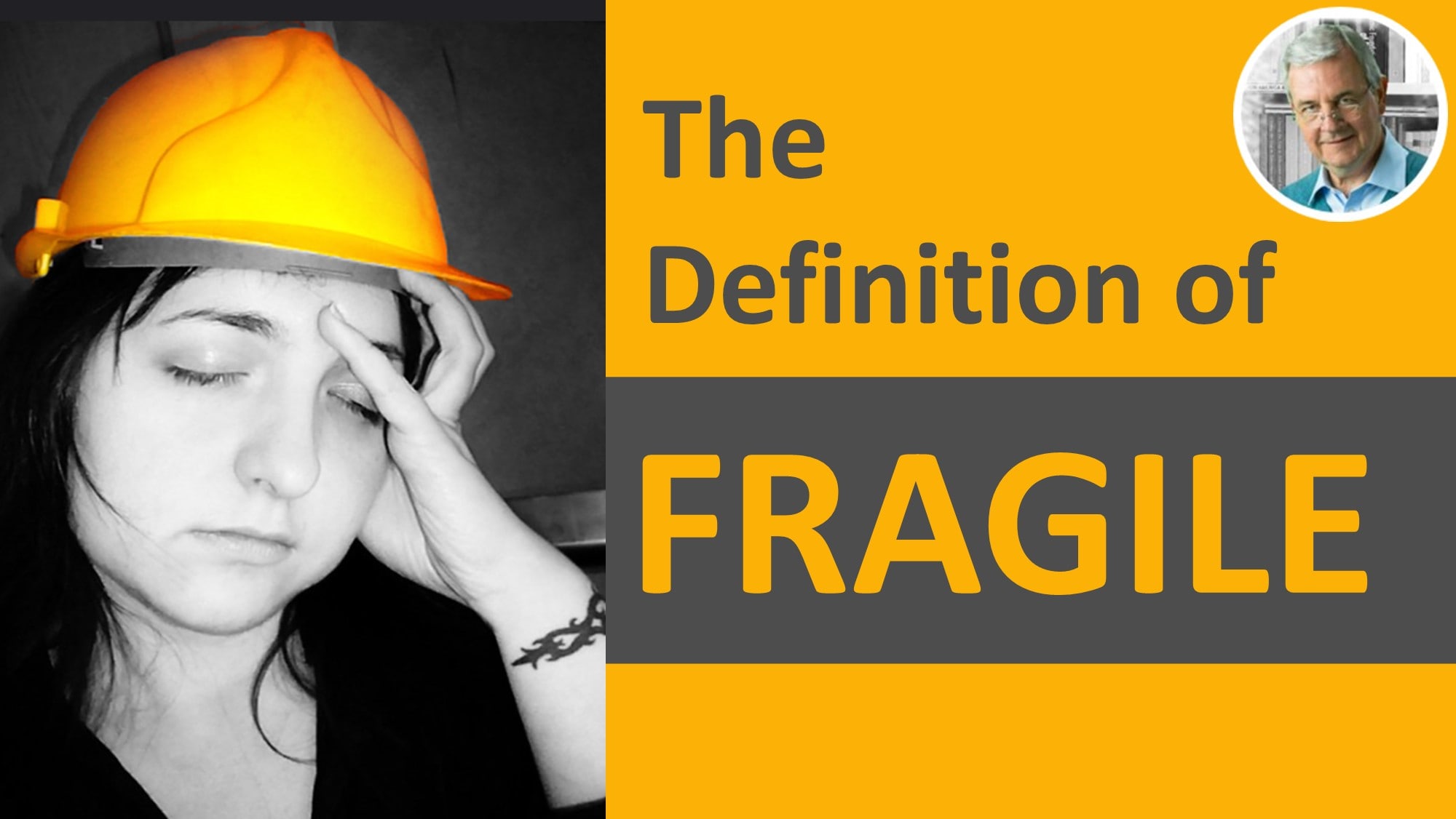 meaning of fragile - fragile in a sentence