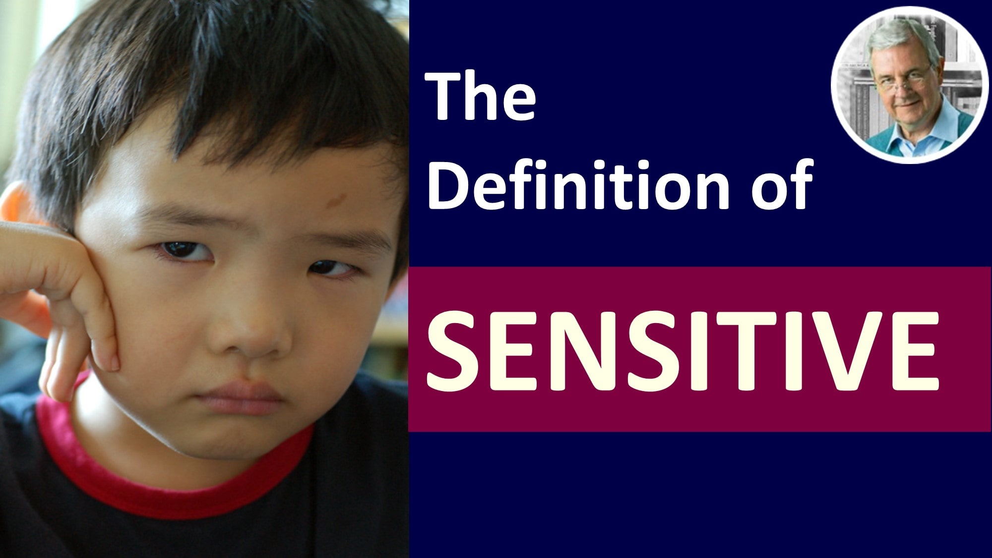 Meaning of SENSITIVE – SENSITIVE in a Sentence