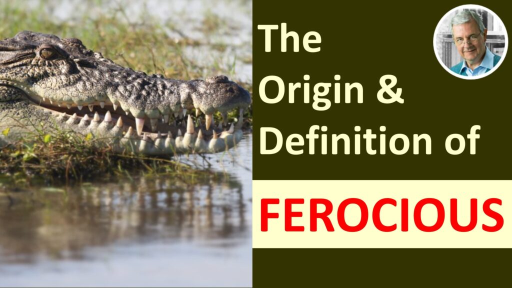 The Meaning Of FEROCIOUS FEROCIOUS In A Sentence