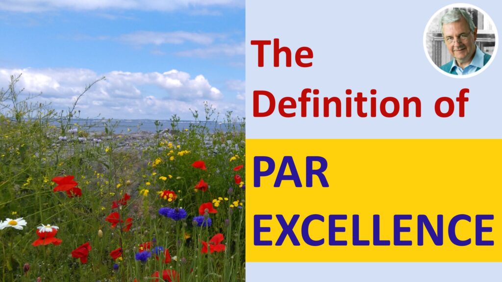 Definition Of Par Excellence Synonyms