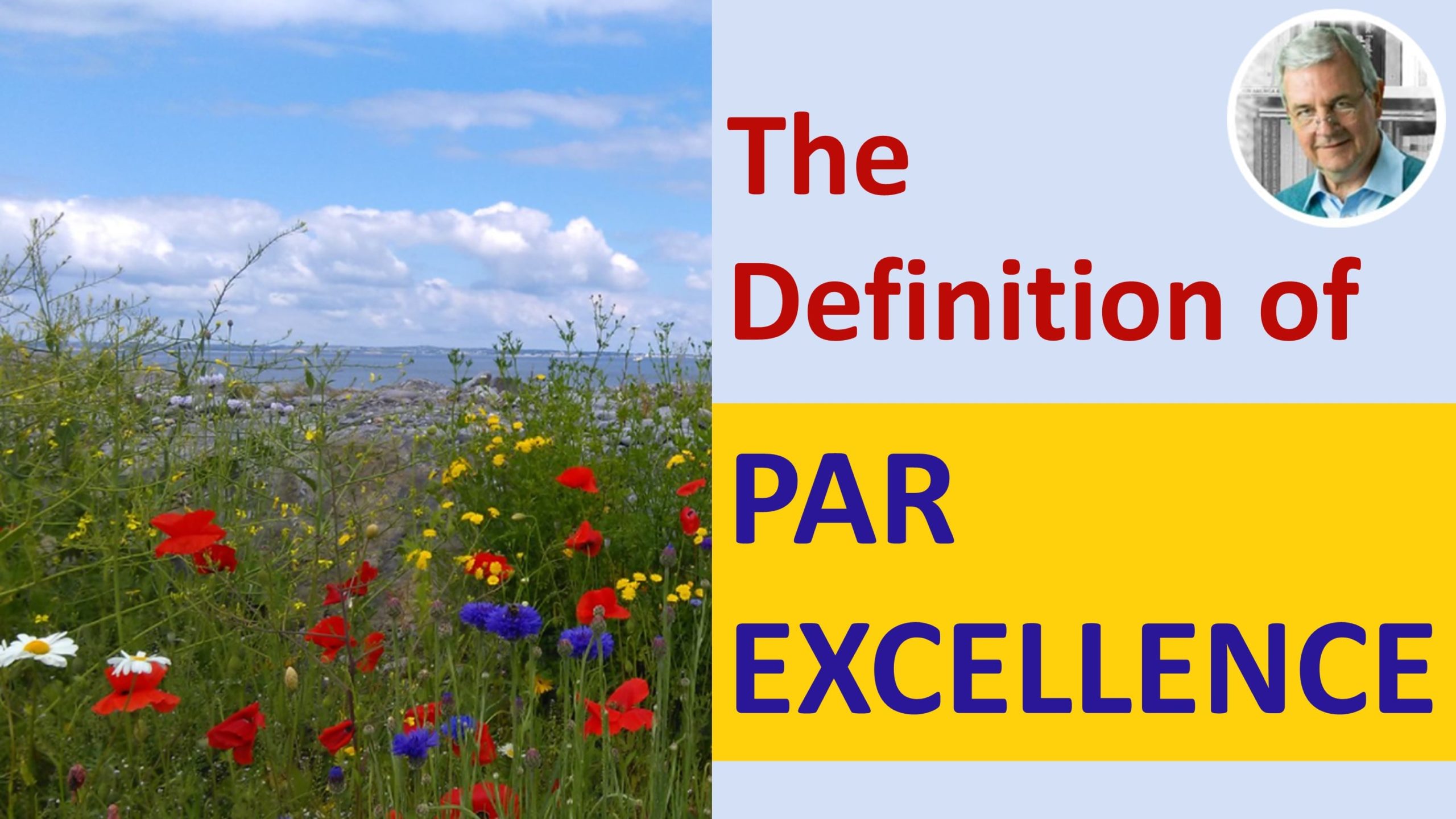 meaning of par excellence - par excellence in a sentence