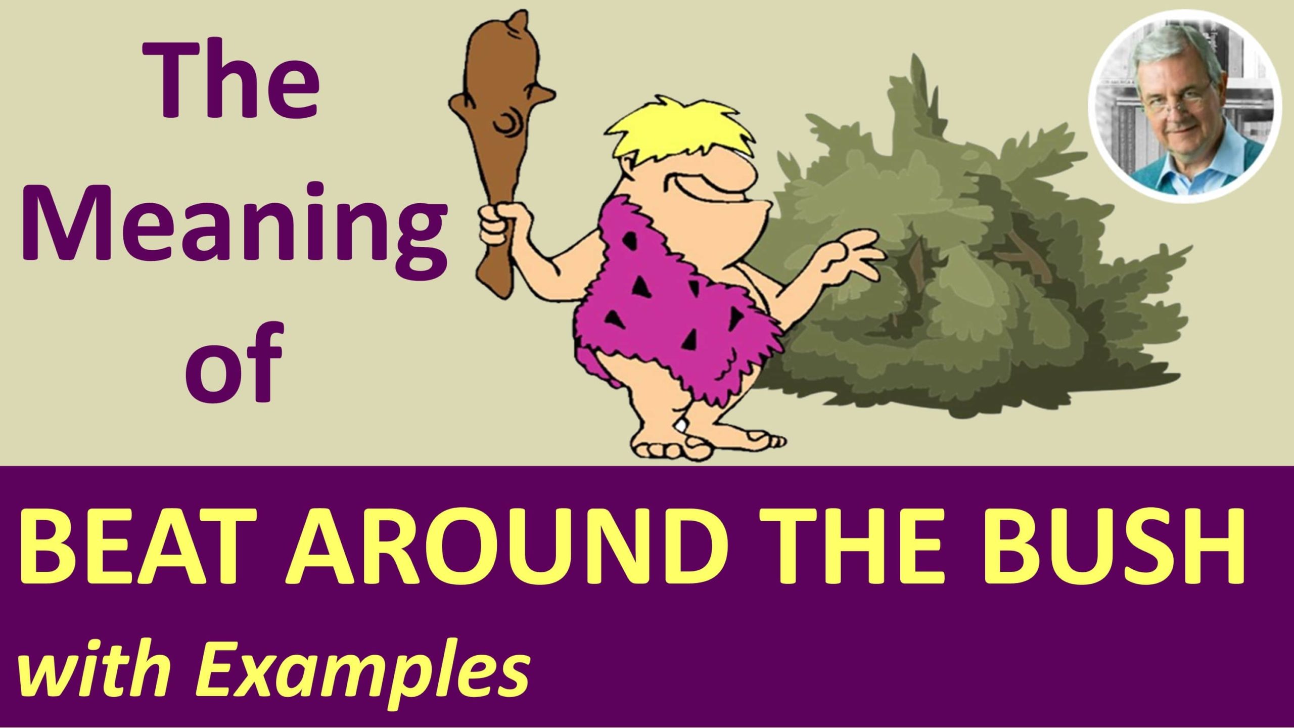 beat around the bush meaning and examples