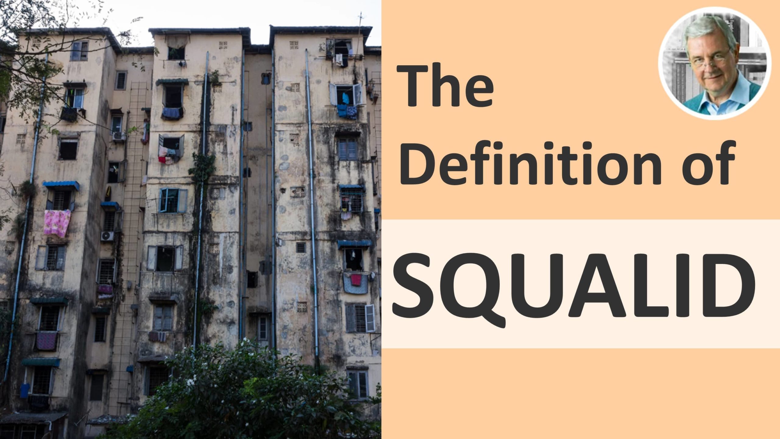 meaning of squalid - squalid in a sentence