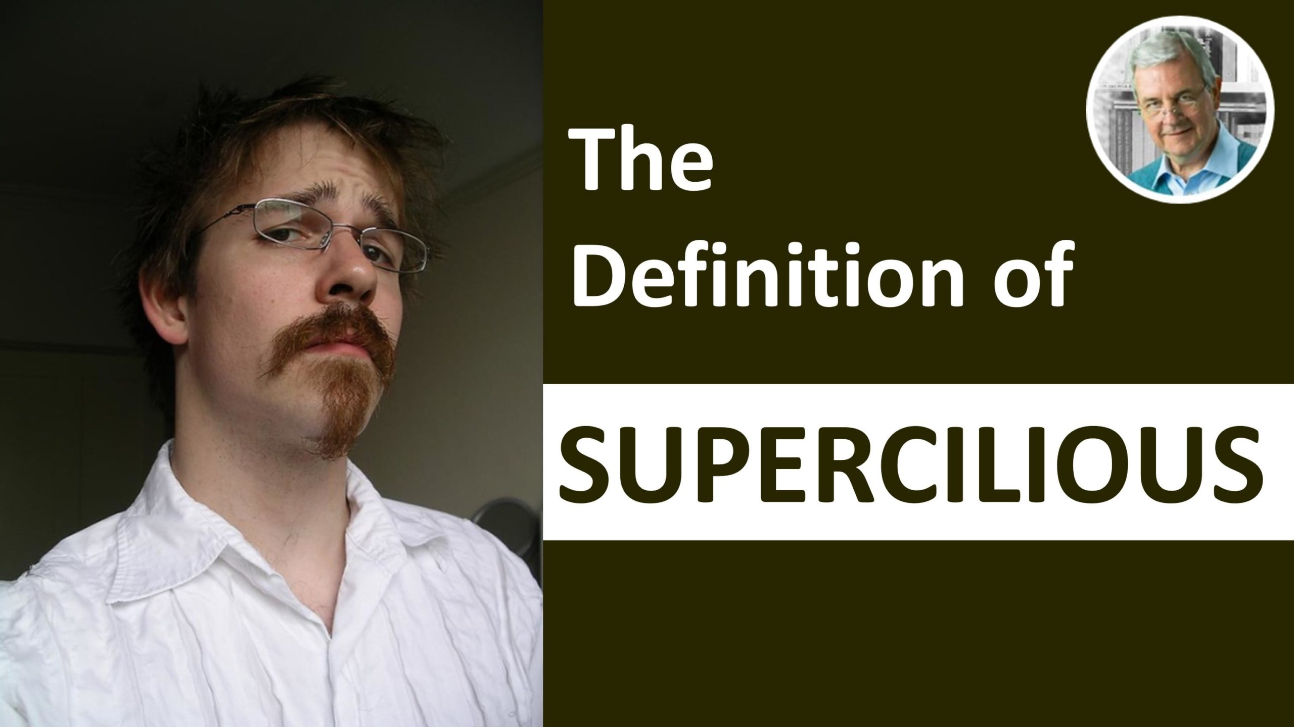 meaning of supercilious - supercilious in a sentence