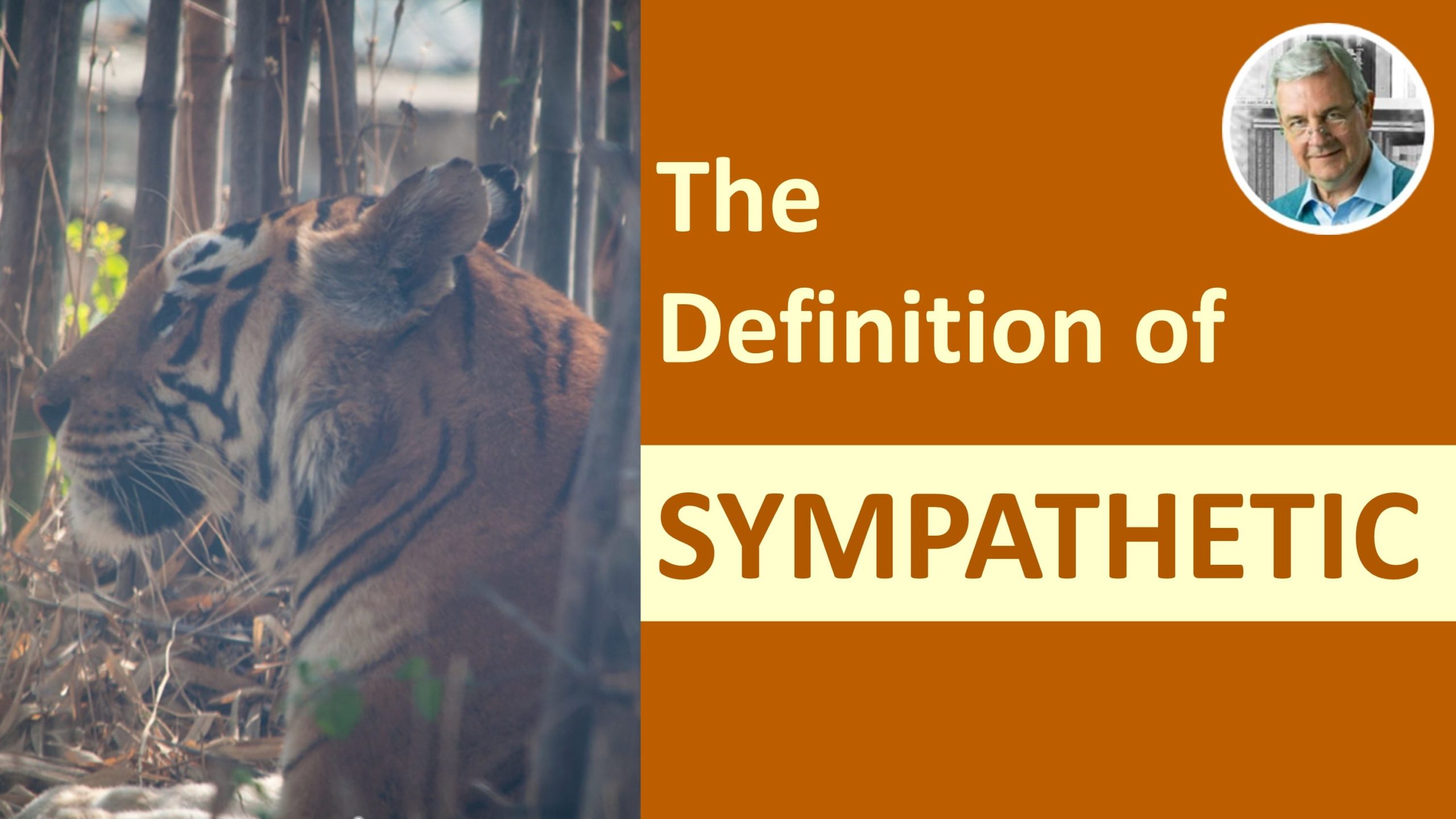 meaning of sympathetic - sympathetic in a sentence