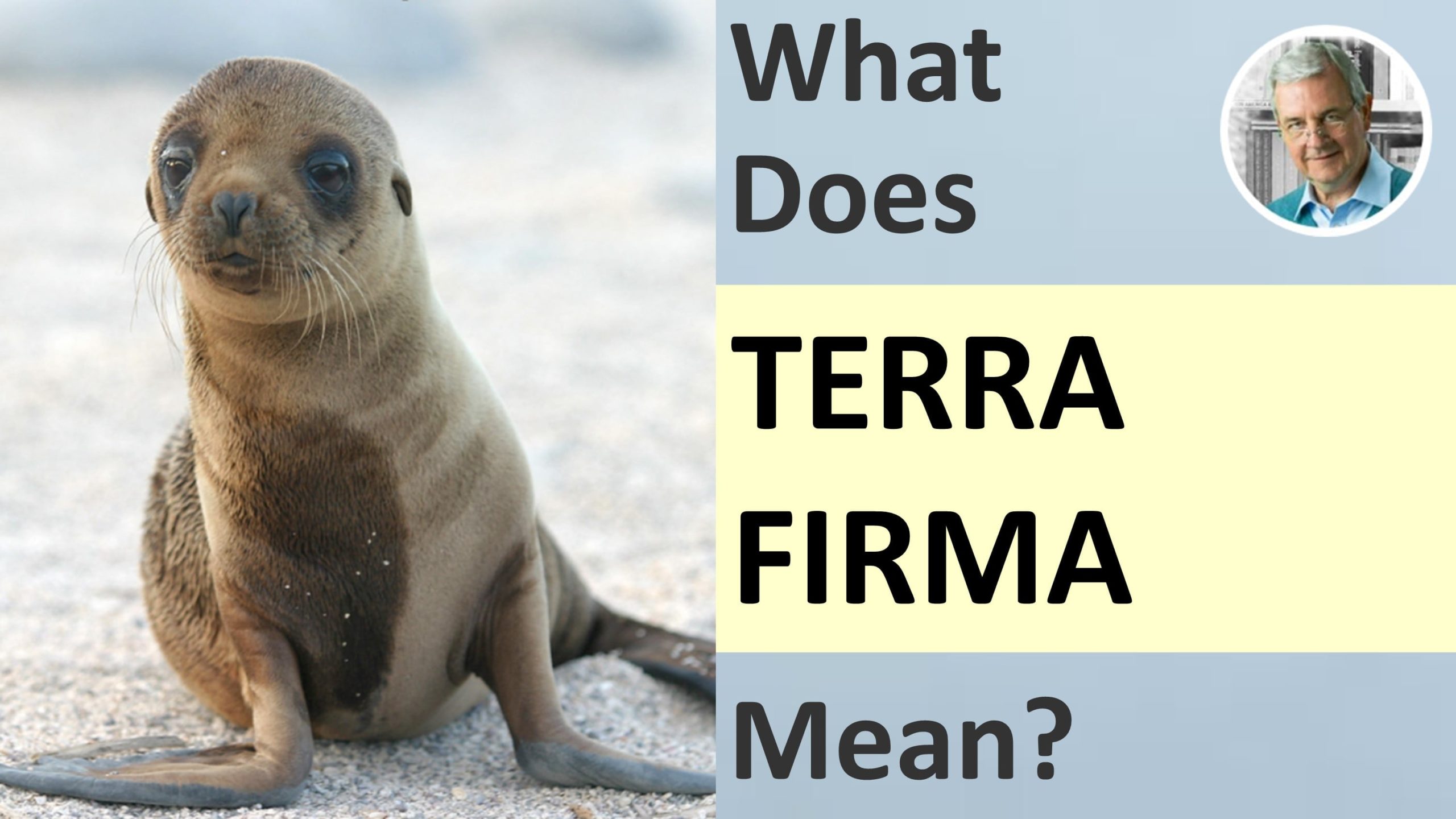 meaning of terra firma - terra firma in a sentence