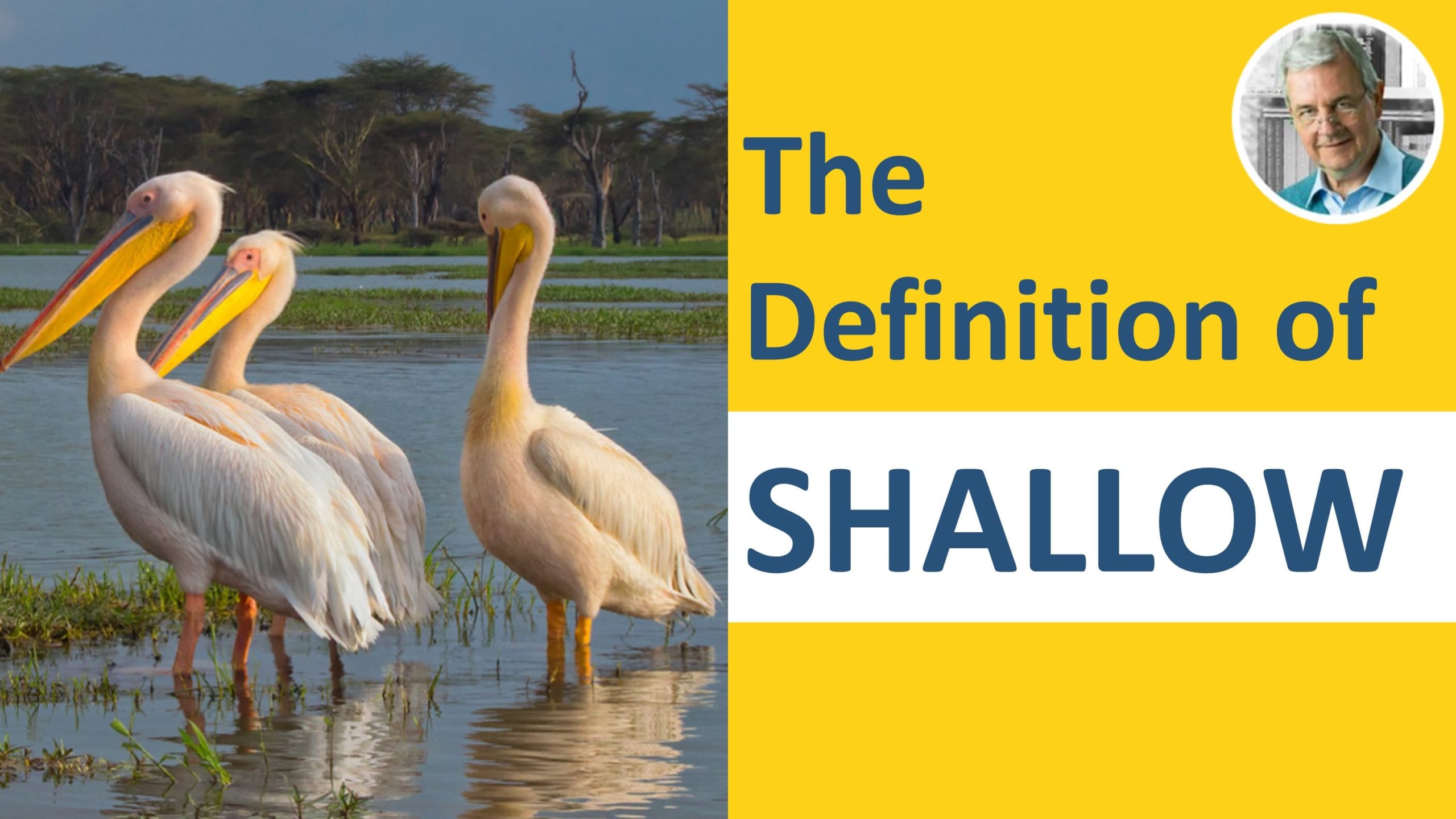 meaning of shallow - shallow in a sentence