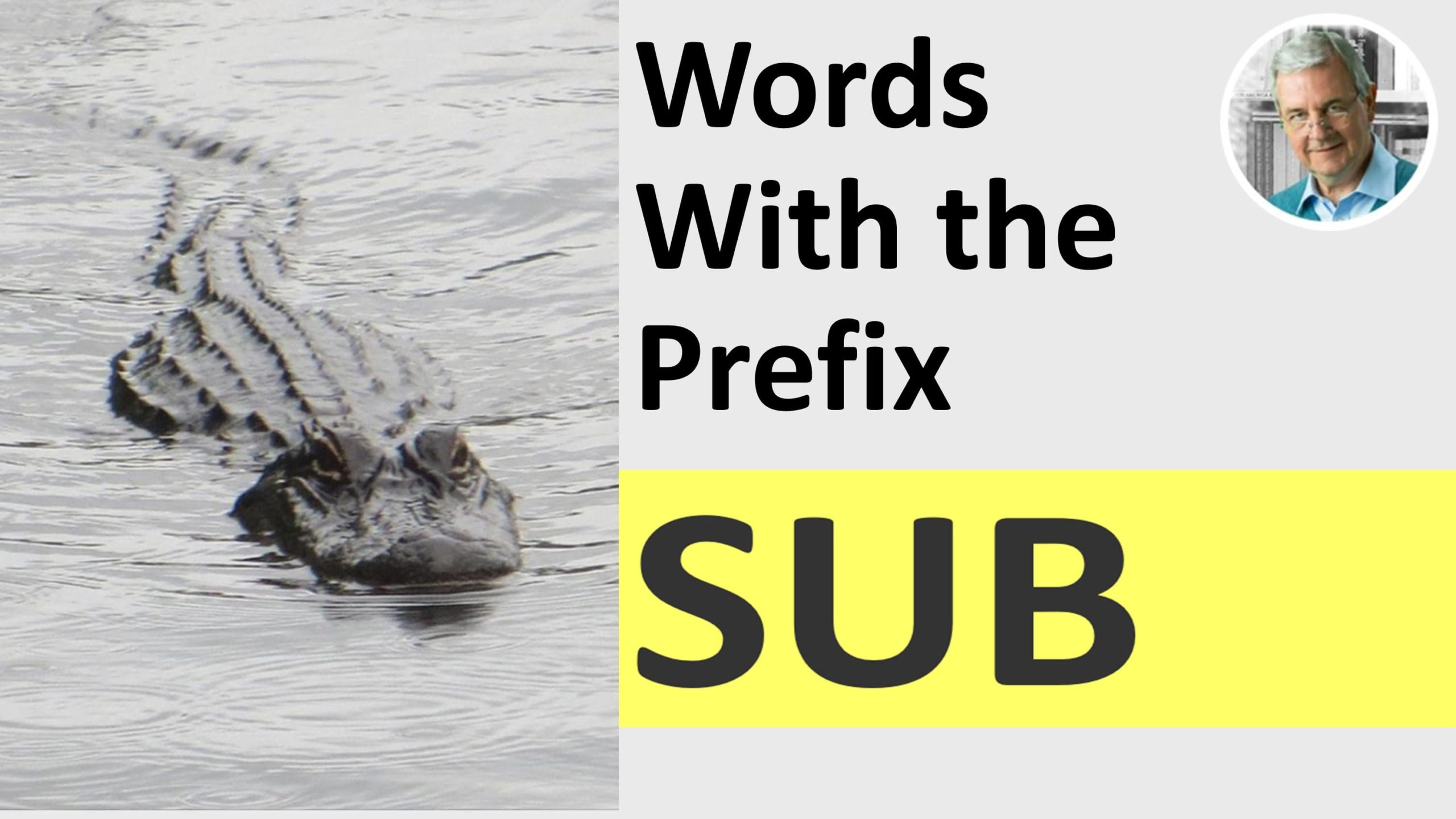 the meaning of prefix sub