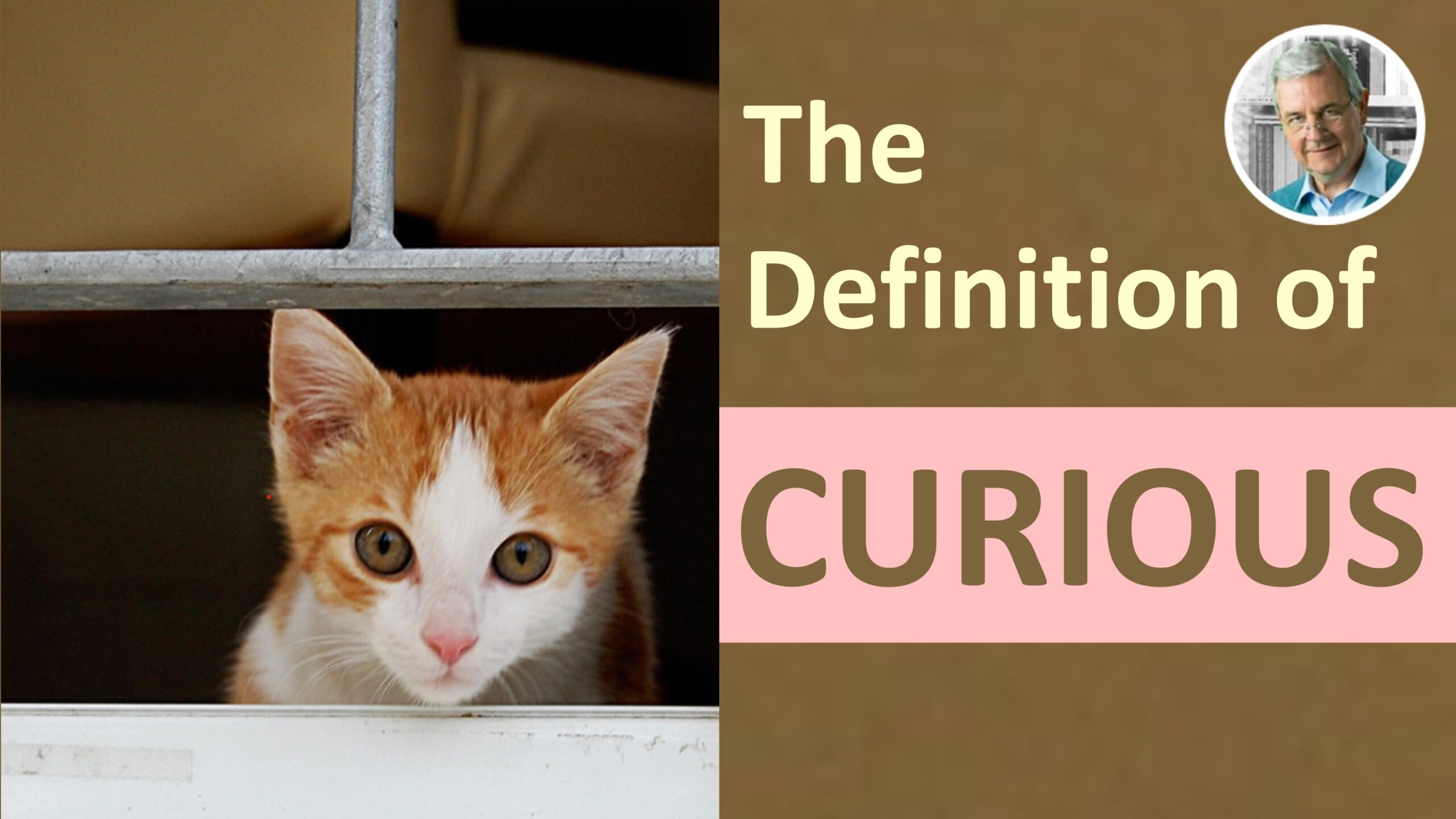 meaning of curious - curious in a sentence