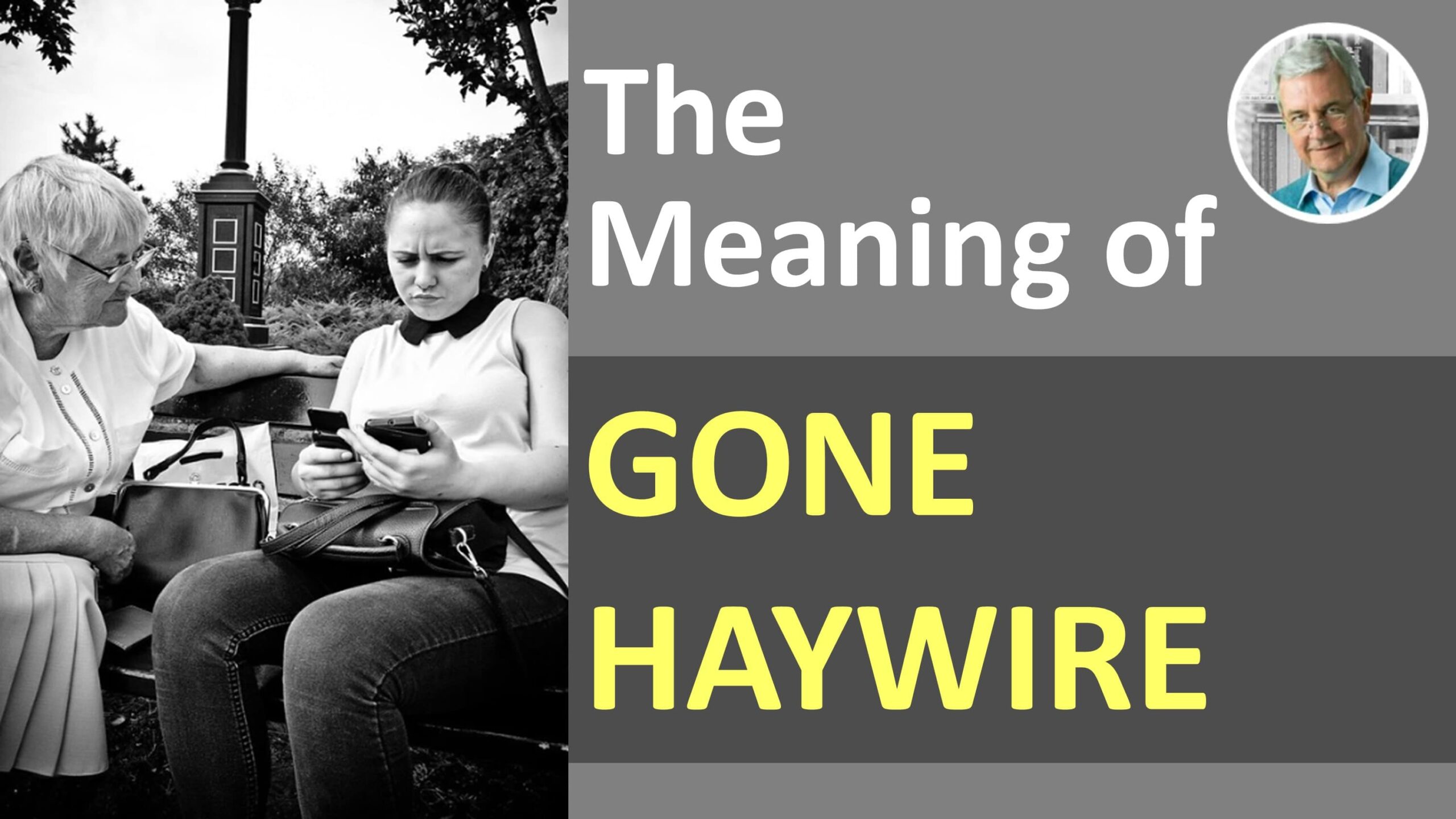 definition of haywire - haywire in a sentence