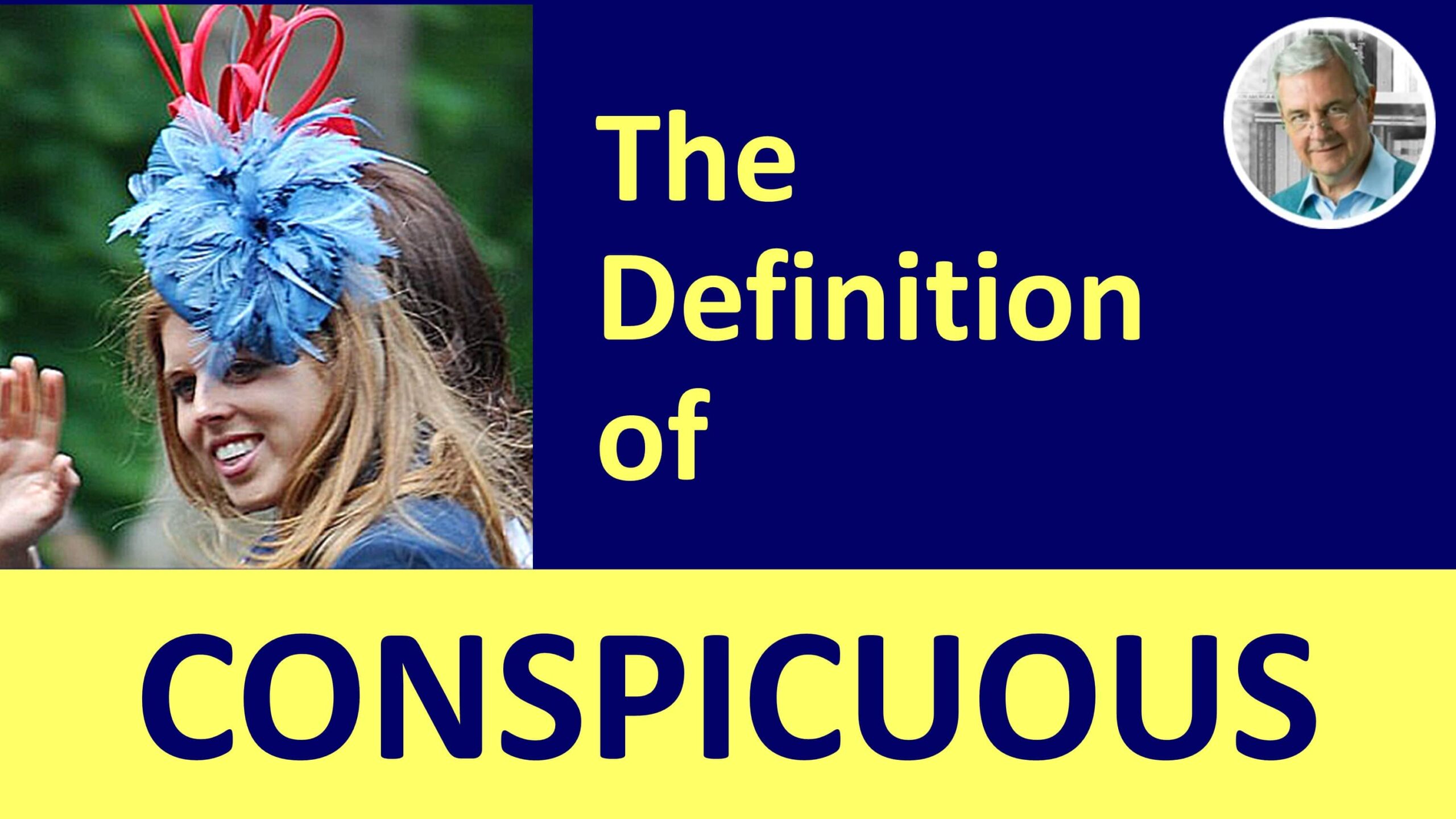 what does conspicuous mean - conspicuous in a sentence