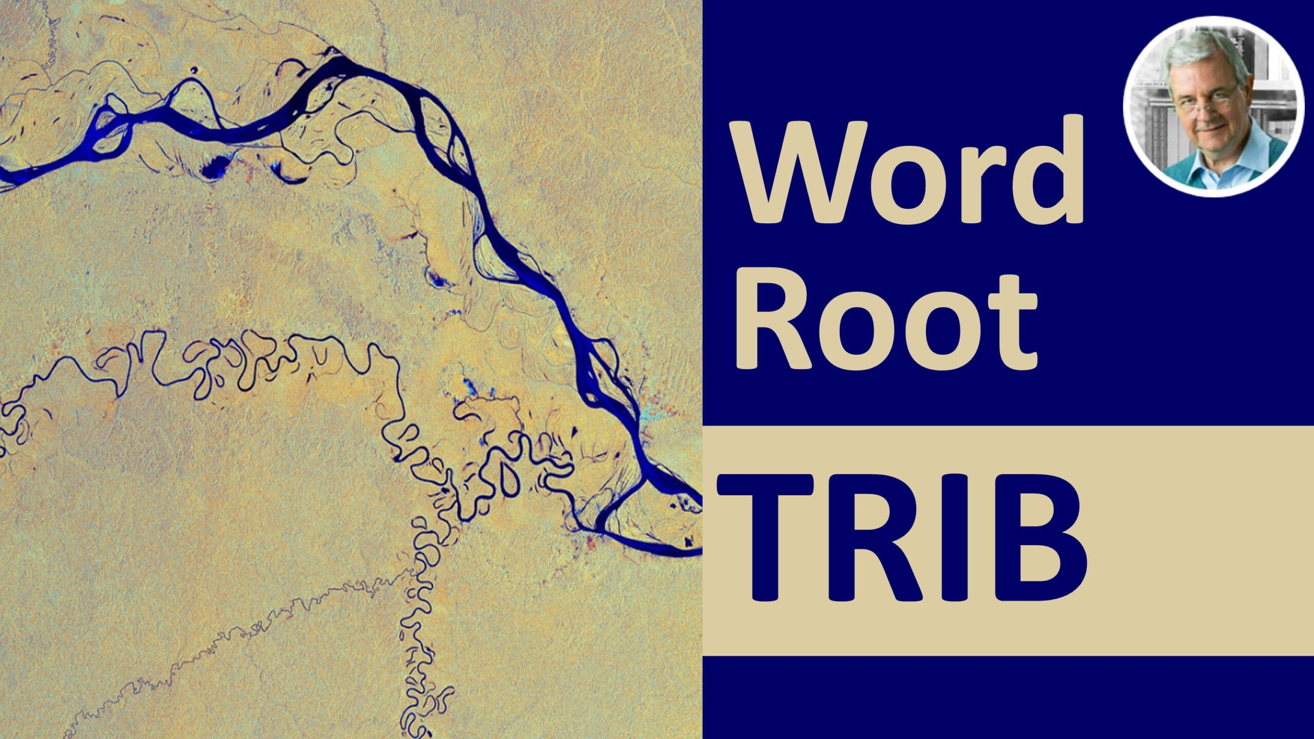 root word trib