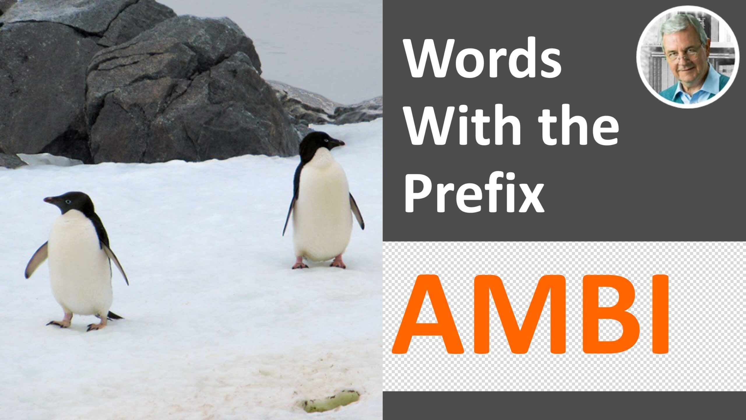 meaning of prefix ambi