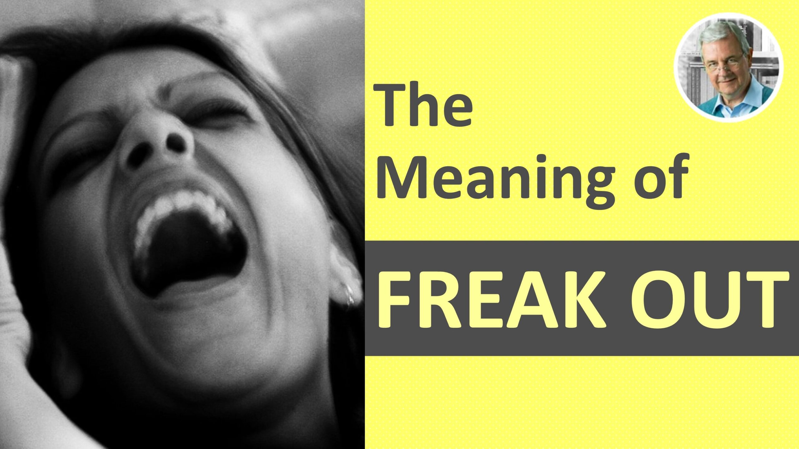 freak out meaning in english